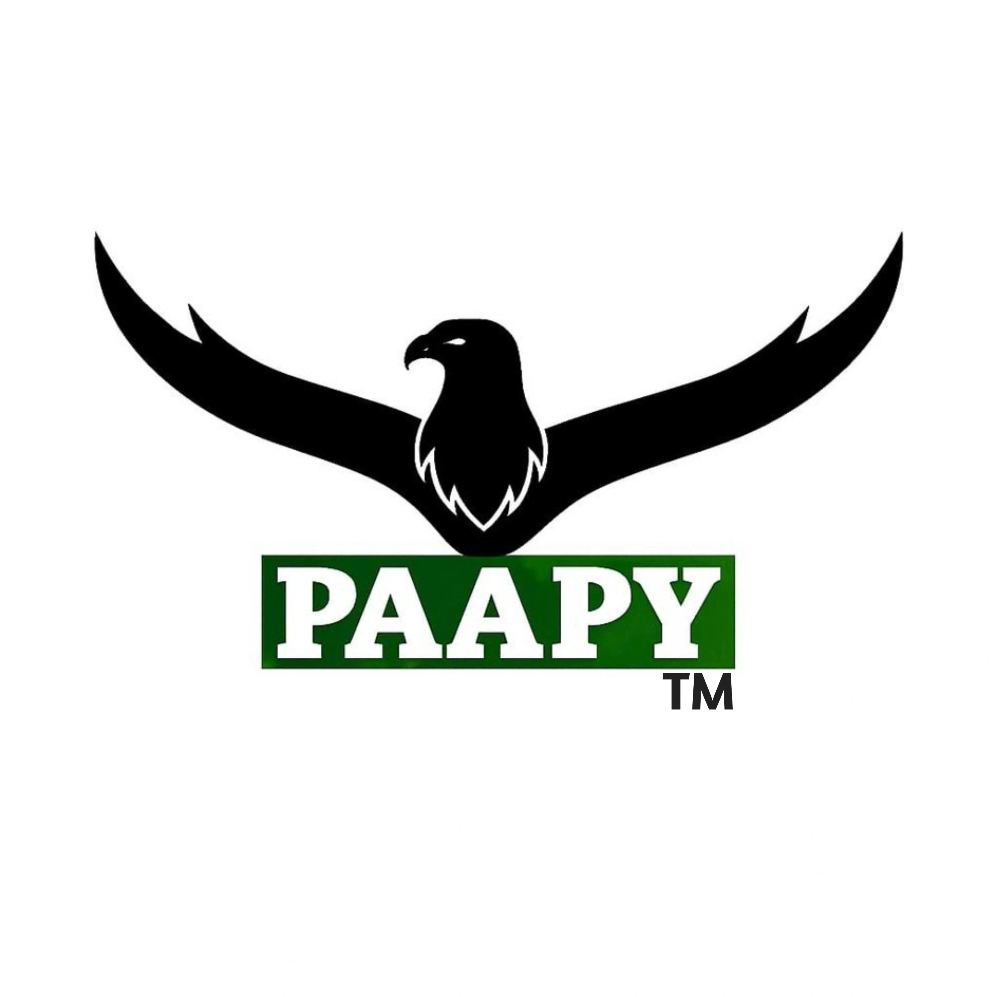 Paapywireless 
